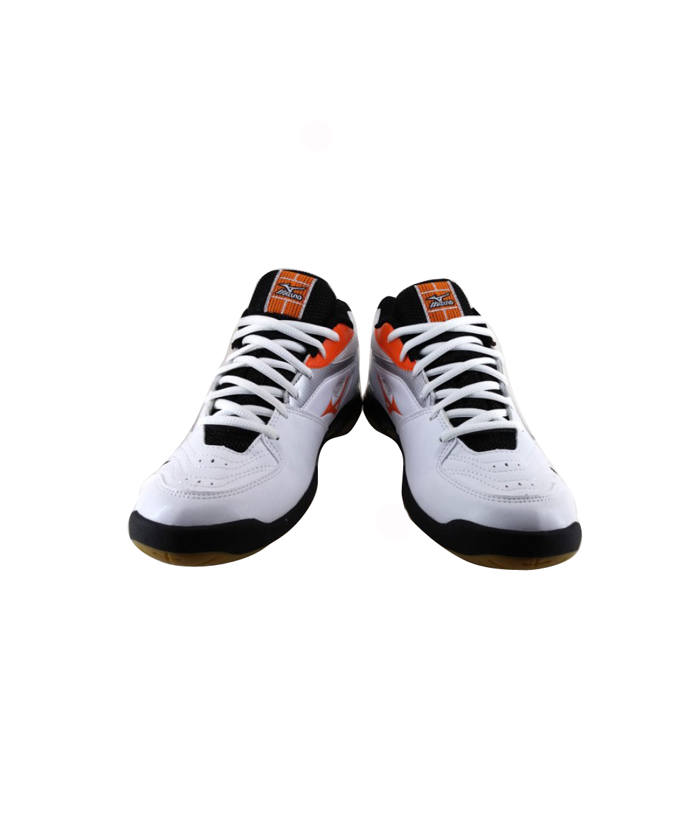 mizuno wave gate