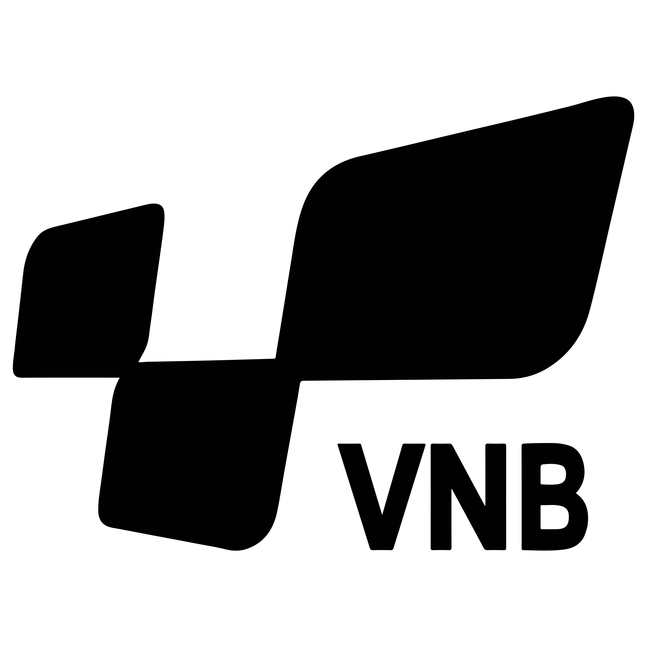 shopvnb.com