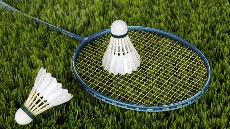 Những hình ảnh vợt cầu lông đẹp và ấn tượng | ShopVNB